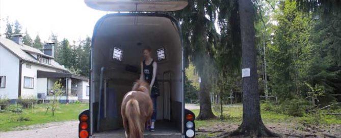 Hevosen lastauskoulutusta - apua hevosen lastaus- ja kuljetusongeelmiin - hevosen koulutus